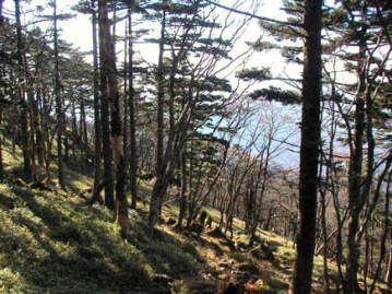 �߉ރ��x�̉���